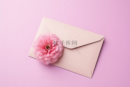 月子中信背景图片_粉红色背景中信封里的一朵花