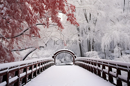 雪覆盖的木桥穿过雪覆盖的树林的景色