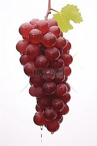 红葡萄背景图片_白色背景上的红红葡萄