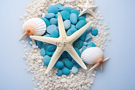 夏天海星背景图片_一碗贝壳和卵石中的明亮海星