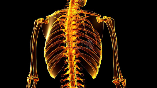 3D 渲染骨骼的脊柱经历不适的插图