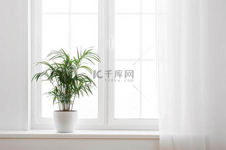 一间空房间，窗台上有绿色植物