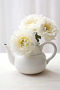 白色的茶壶和白色的花