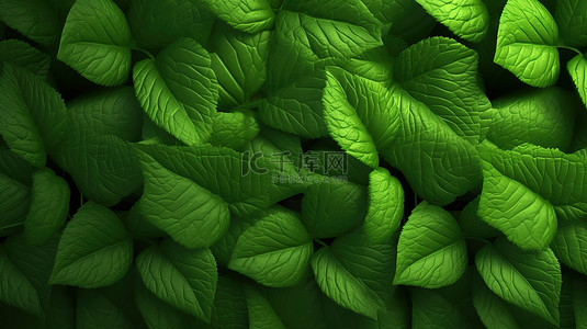 夏天绿叶植物背景图片_青翠绿叶背景的 3d 呈现器