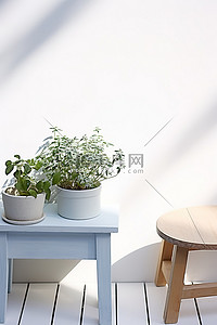 软化水箱背景图片_浇水箱木凳和盆栽植物