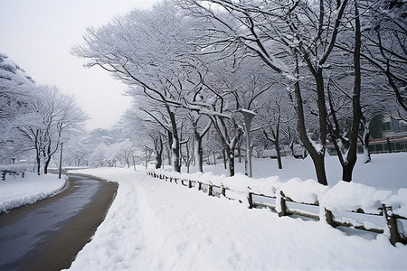 雪街道背景图片_雪覆盖的公园附近一条被雪覆盖的道路