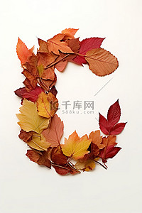 星期六，秋叶形成白色的字母“d”