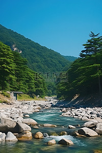 山附近一条有岩石和树木的河流