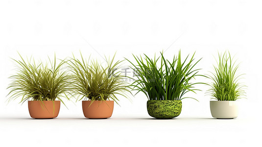 绿叶小背景图片_白色背景下盆栽草收藏的 3D 插图