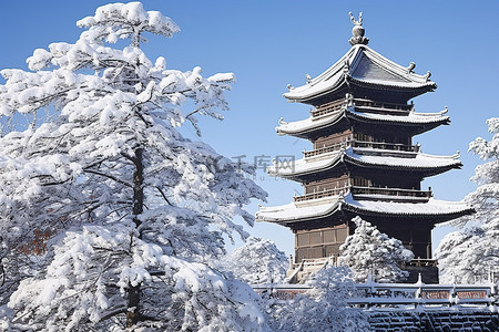 一座古老的宝塔矗立在雪中，旁边有一些树