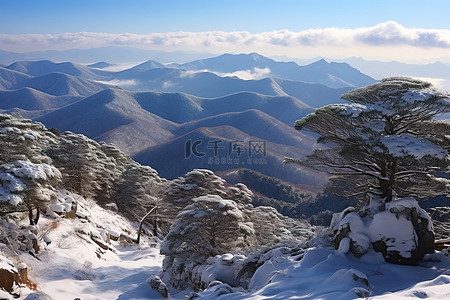 世界高原韩国比甲山国立公园