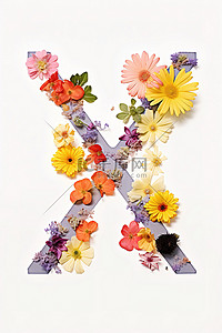 背景字母背景图片_白色背景字母 x 上的花