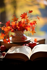 一本打开的书与秋天的落叶