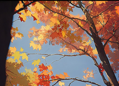 枫叶中背景图片_树上和天空下的秋叶 照片背景美术印刷品中的秋叶