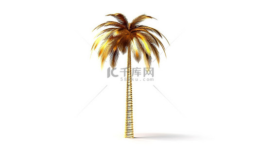 白色背景下闪闪发光的热带棕榈树的 3D 渲染