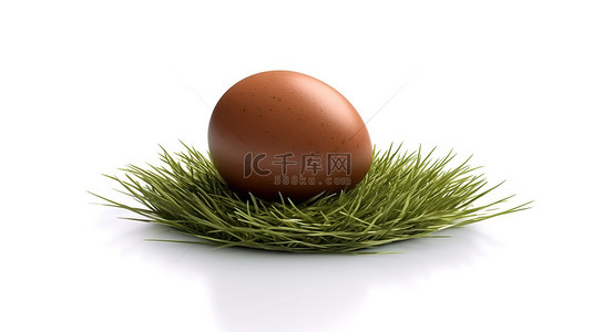 白色背景下放在草地上的棕色鸡蛋的 3D 渲染