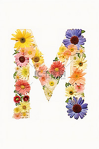 水彩字母 m 由不同的花朵制成