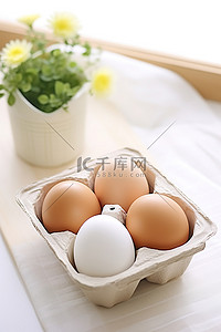 桌上牛奶背景图片_白桌上托盘里的鸡蛋