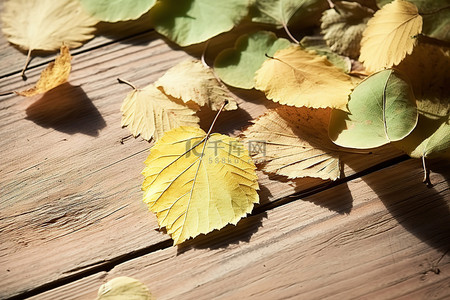 木桌上沾满灰尘和污垢的落叶
