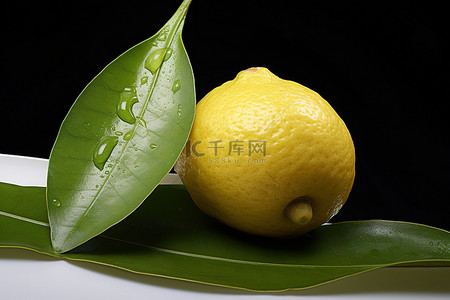 柠檬西柚背景图片_柠檬和绿叶的果皮