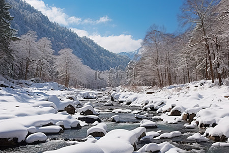冬末雪地里美丽的冰冻溪流的景色
