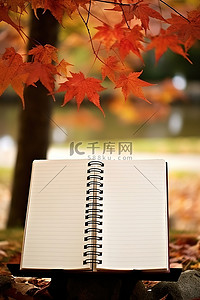 秋天秋天树木背景与打开的笔记本