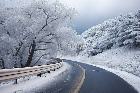 道路两旁都是被雪覆盖的树木