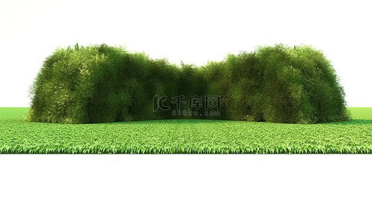 比赛足球场背景图片_孤立的白色背景 3d 渲染的足球场与郁郁葱葱的绿草