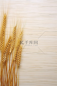 庄稼已经熟了背景图片_成熟的小麦叶子在木头上照片