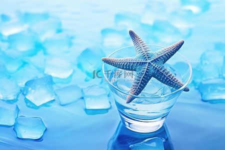 冰蓝色背景背景图片_阳光明媚的日子里海星与冰块的照片