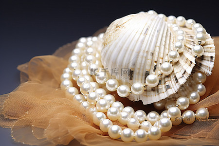 一条带有白色珍珠的项链位于贝壳中
