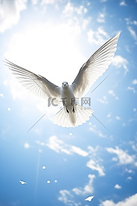 天空飞的鸟背景图片_一只鸟从蓝天飞出