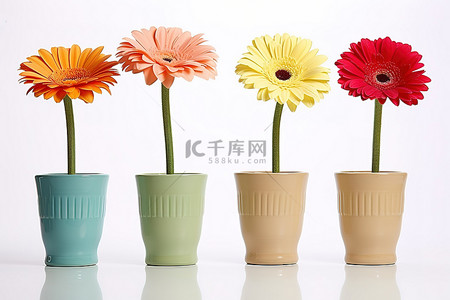 陶土背景图片_白色表面上的木制陶土花瓶中的五朵小彩色格伯雏菊