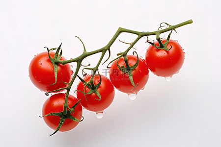 番茄一筐背景图片_茎上有一滴水的番茄