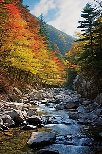 秋天的山间溪流与秋天的彩色树木
