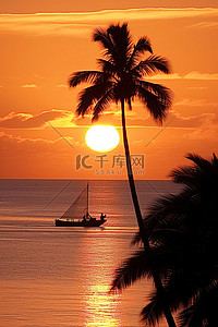 棕榈树背景图片_海上夕阳下的小船