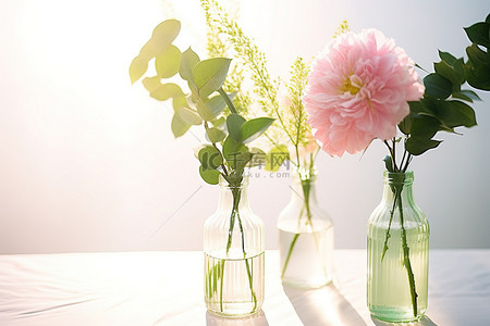 插花玻璃瓶背景图片_两个装满粉红色花朵的玻璃瓶