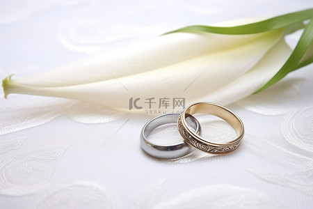 联系莉莉与结婚戒指和丝带与花边背景