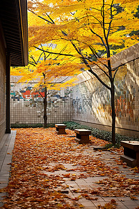 济南中区电话713.59189微信发出背景图片_地面被树叶覆盖