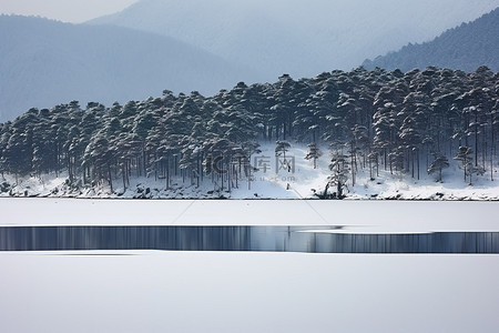 有雪松树背景图片_有树木和雪山的冬季景观