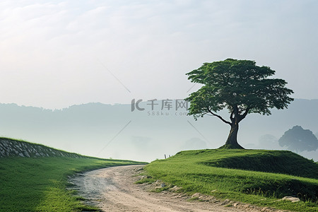 孤独颂歌背景图片_一棵孤独的树坐落在绿色田野的土路边