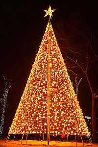 圣诞树亮背景图片_一棵由灯光和星星组成的点亮的节日树