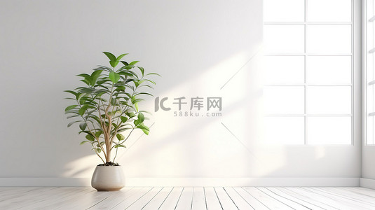 花园摄影背景图片_室内花园白色木地板为室内植物摄影 3D 渲染提供完美的背景
