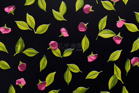 黑色玫瑰背景图片_黑色背景中的粉红玫瑰和绿叶，黑色背景墙