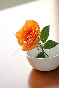 白碗里的单朵橙色玫瑰