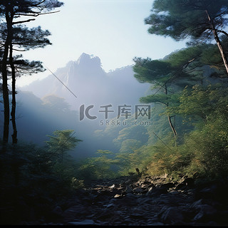 山背景图片_三长山森林
