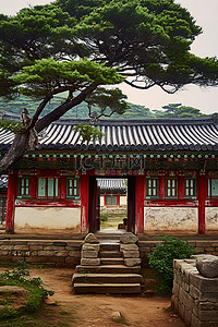 白描老树背景图片_一栋韩国老房子的外部，有一棵老树