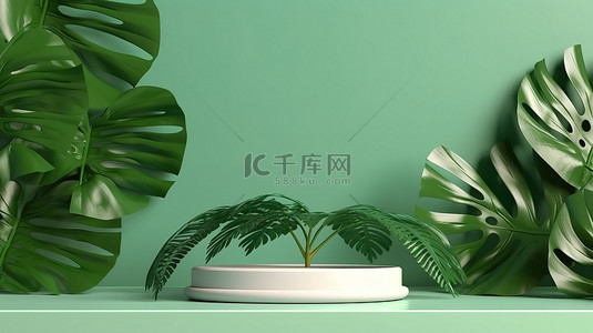龟背竹叶装饰的绿色底座，用于展示 3D 渲染的产品