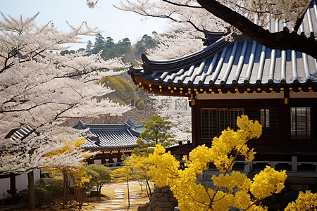 一座开满白花的寺庙，周围环绕着金色和黑色的中国树木