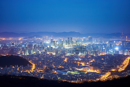钟花背景图片_从首尔詹花山欣赏城市夜景